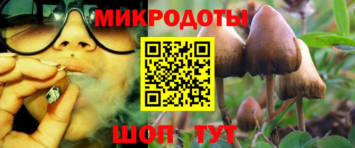 Псилоцибиновые грибы GOLDEN TEACHER  Галлюциногенные грибы GOLDEN TEACHER  Вход с VPN  Коркино 